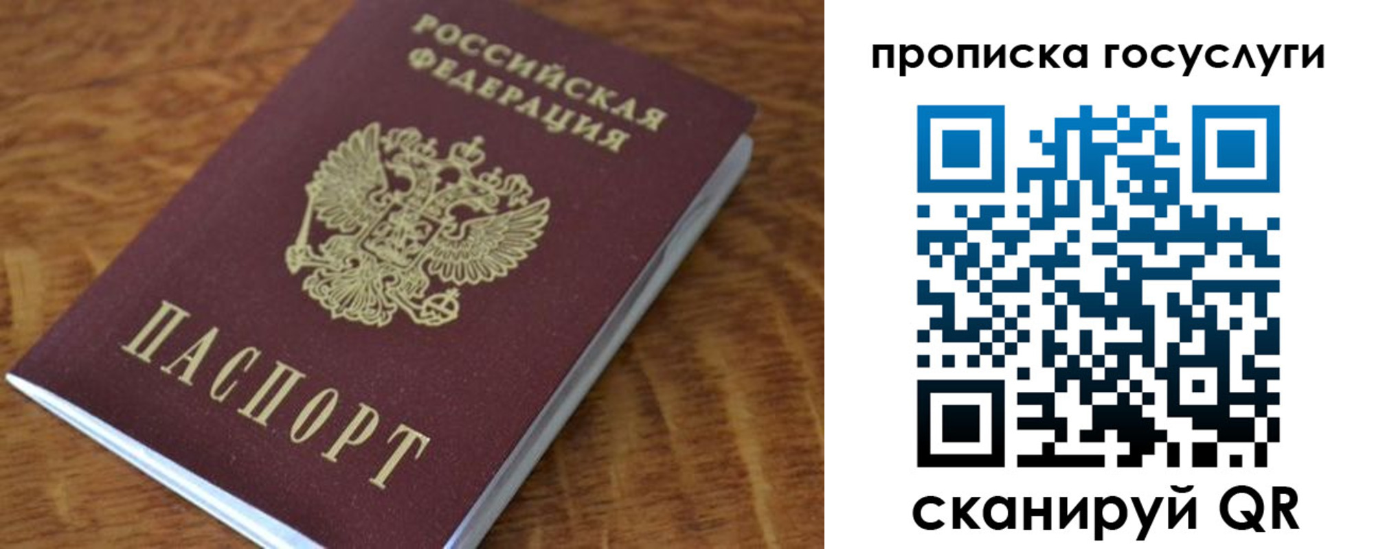 временная регистрация гарантия в Завитинске